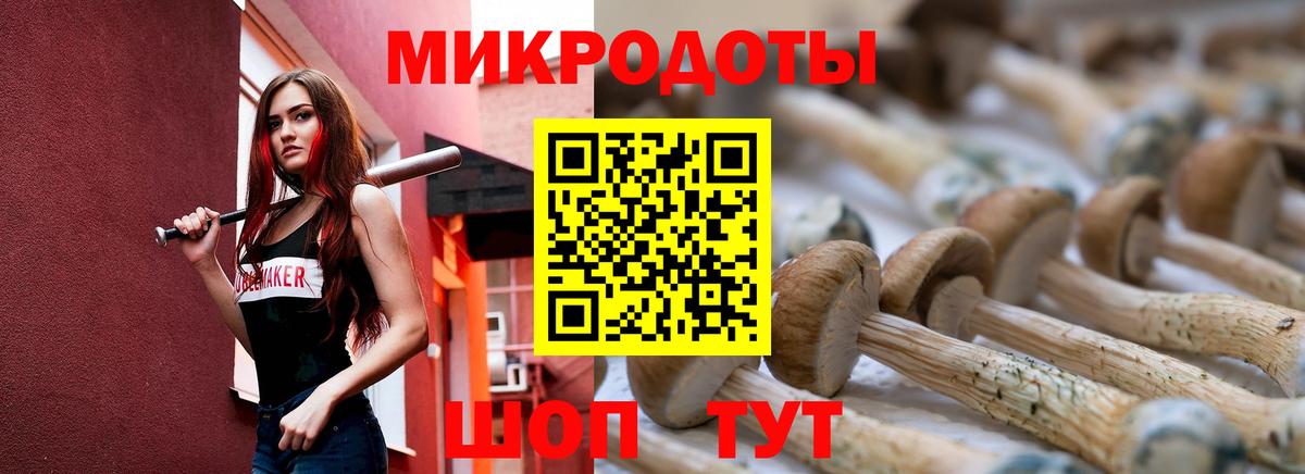 Россия  Галлюциногенные грибы Cubensis  Вход с VPN 
